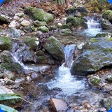 particolarit e bellezze dei nostri campi di gara
