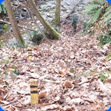 particolarit e bellezze dei nostri campi di gara