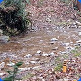 particolarit e bellezze dei nostri campi di gara