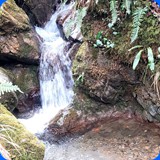 particolarit e bellezze dei nostri campi di gara