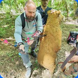 Arcieri del Lago  " Percorso"